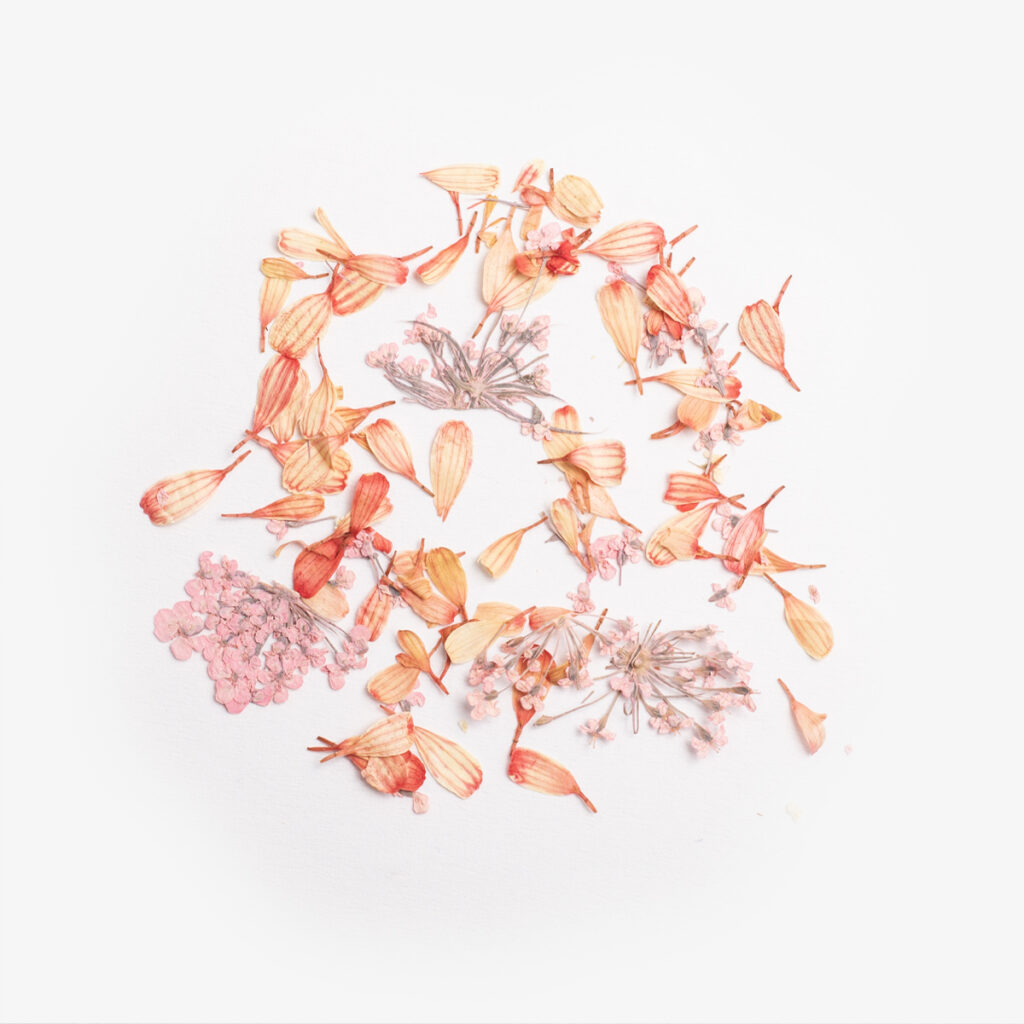 Semilac Flower Flakes Coral Blossom - Imagen 2