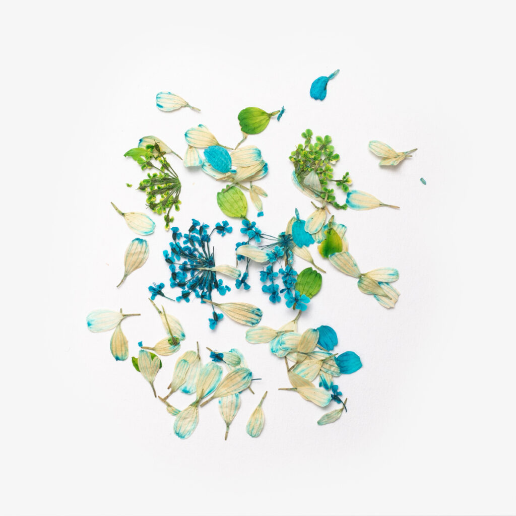 Semilac Flower Flakes Spring Meadow - Imagen 2