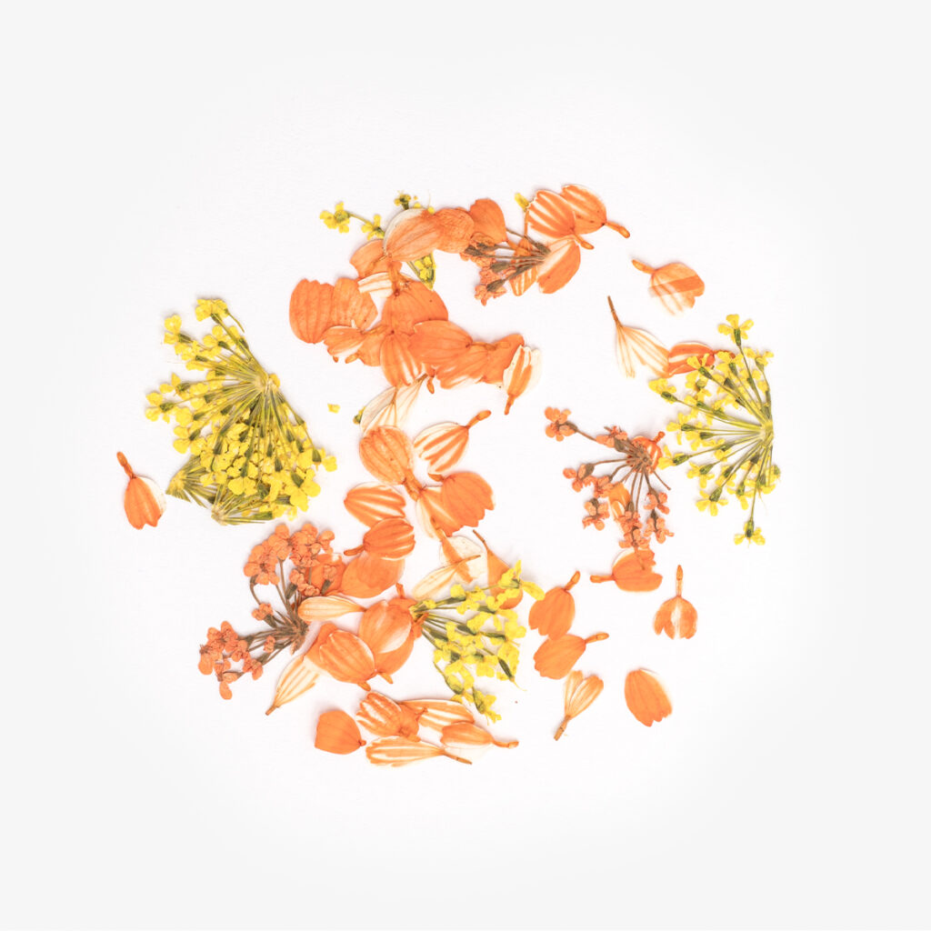 Semilac Flower Flakes Golden Sunset - Imagen 2